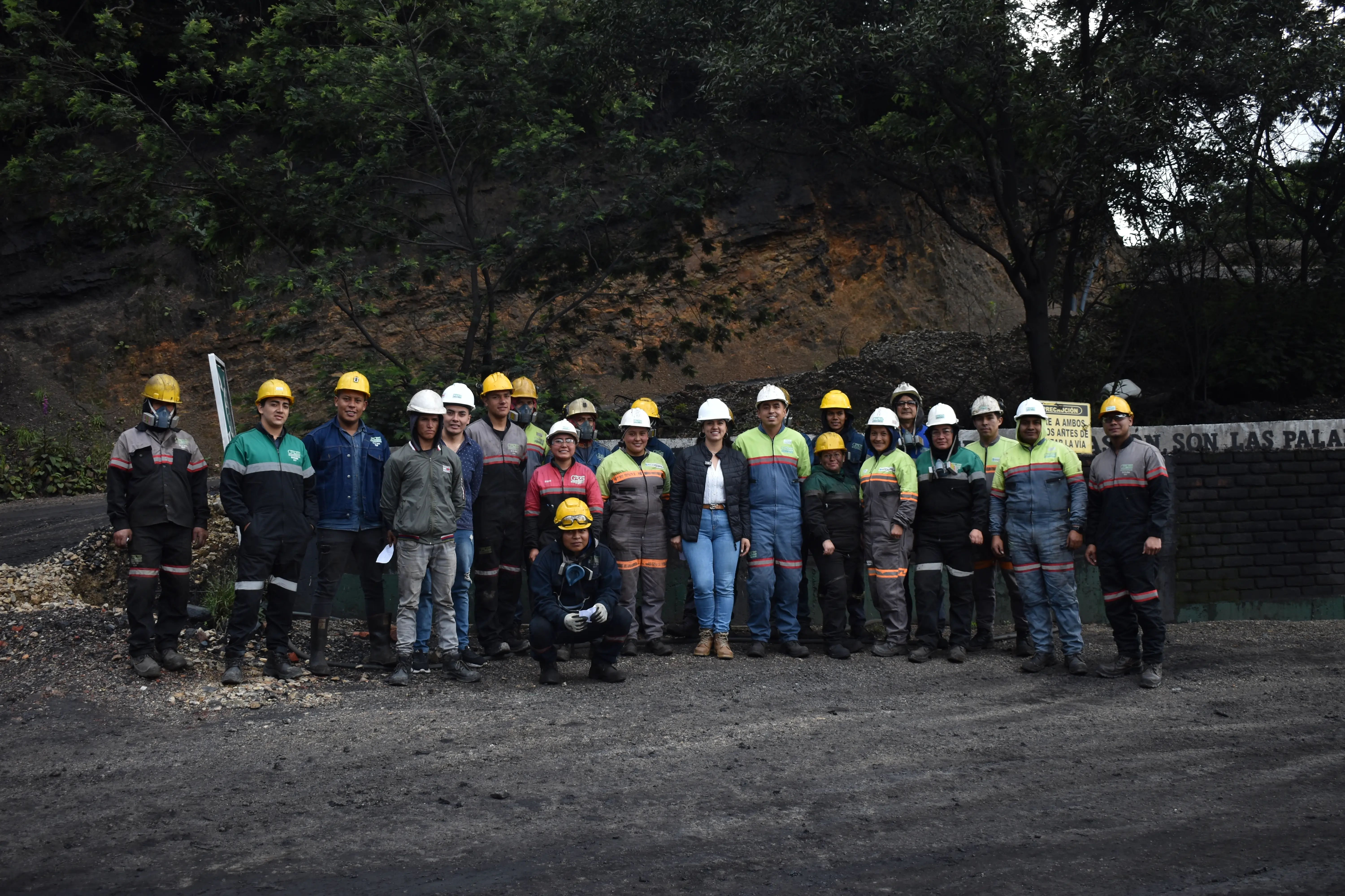 Diseño, Implementación y Asesoría del Sistema de Gestión en Seguridad y Salud en el Trabajo (SG-SST)